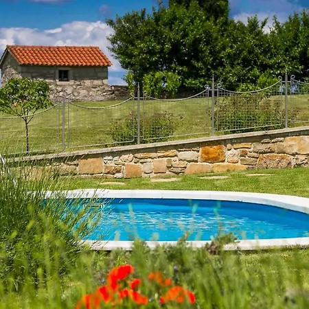 Bacula Ferienhaus *